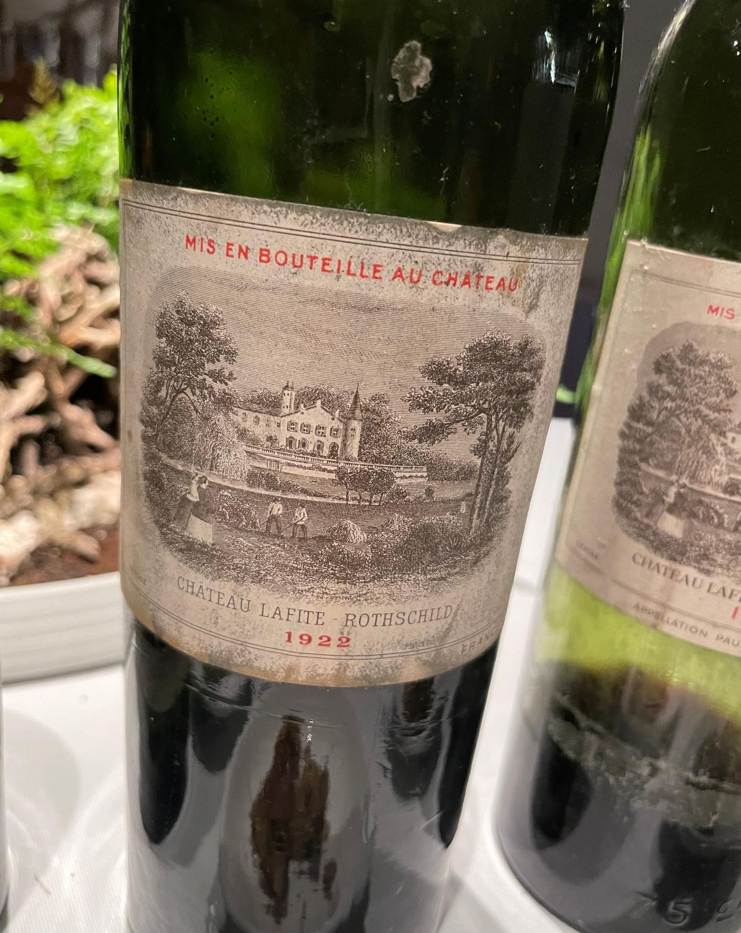 鹽之華是全台灣星級餐廳裡熟客佔比最高的法式料理餐廳