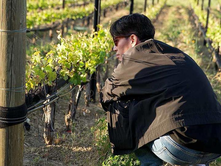 Paso Robles 結合年輕釀酒師的創新理念，與家族酒莊的熱情投入，產區氛圍自由不拘一格，成為許多新銳與高品質酒莊的發展溫床