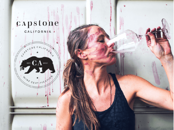 加州葡萄酒的「先驅」只是投身於熱情，而不知道自己位在於一個時代的巨大跳躍，直到二十年後的九零年代，投入的熱情與酒質的不斷提升終於開花結果