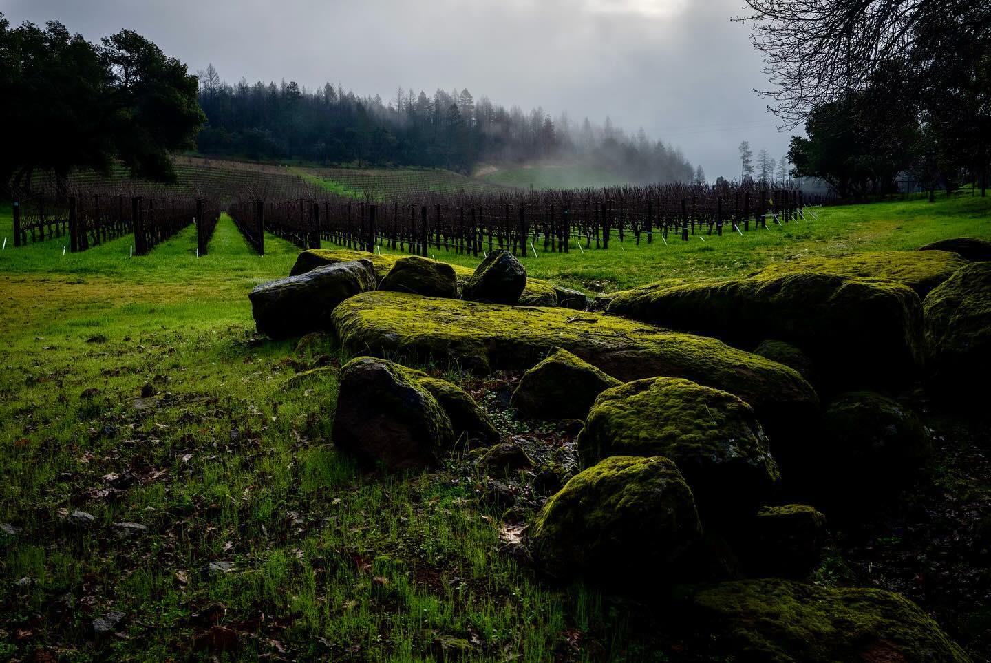 重點不在於強度，而是這支酒怎麼講故事、怎麼展現土地的聲音。這是從感官走向文化的演化