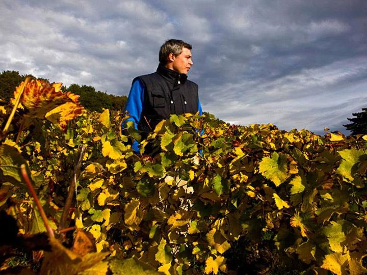 10個重點帶你認識布根地Burgundy