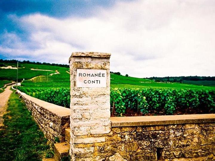 10個重點帶你認識布根地Burgundy